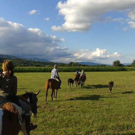 Finca Valentina El Encón エクステリア 写真
