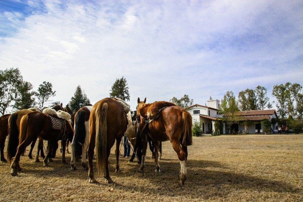 Finca Valentina El Encón エクステリア 写真
