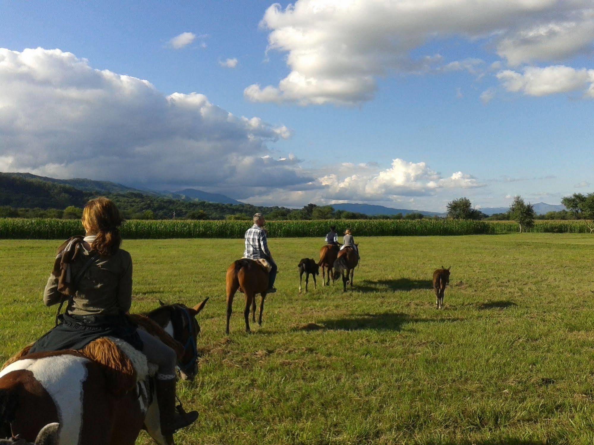 Finca Valentina El Encón エクステリア 写真